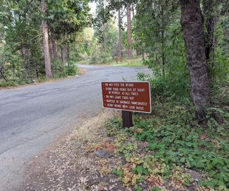 Hume lake campground