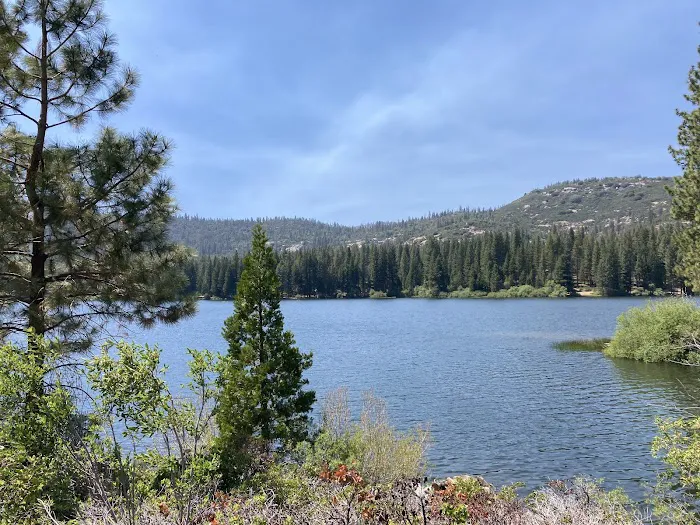 Hume lake campground Picture 2