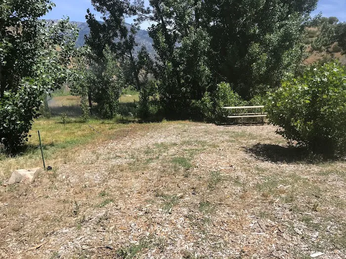 Kings Canyon Rv Resort & Campground Picture 9