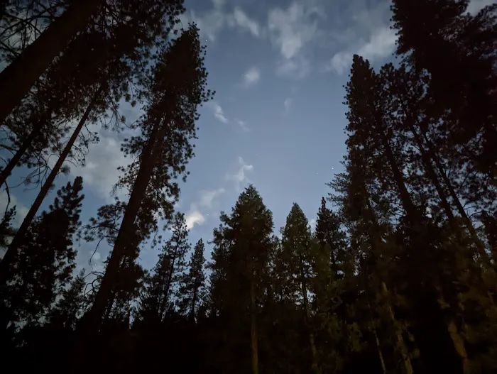 Logger Flat Group Campground Picture 4