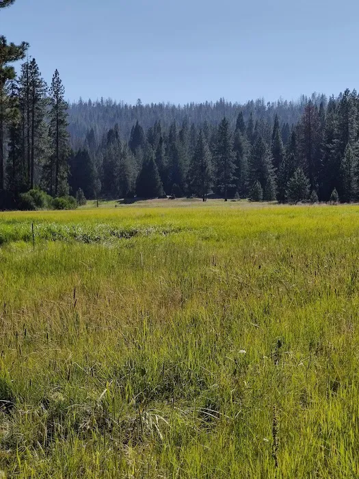 Logger Flat Group Campground Picture 8