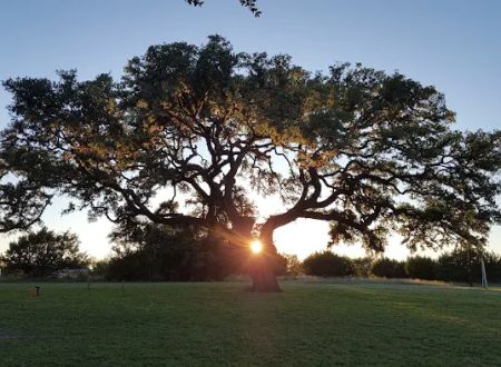 Skyline Ranch RV Park