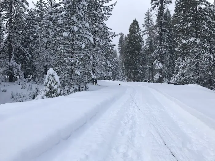 Tenmile Campground Picture 2