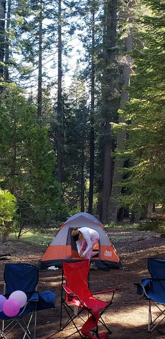 Tenmile Campground Picture 8