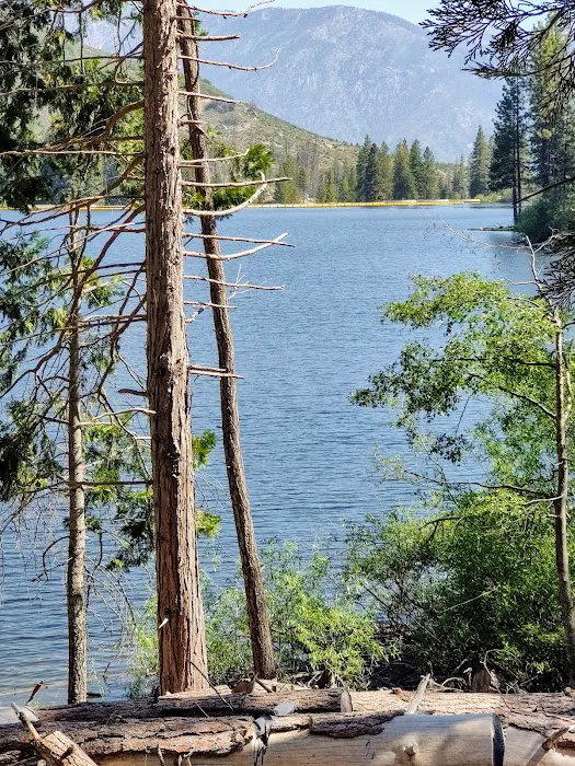 Landslide Campground Picture 2
