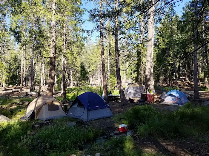Landslide Campground Picture 1