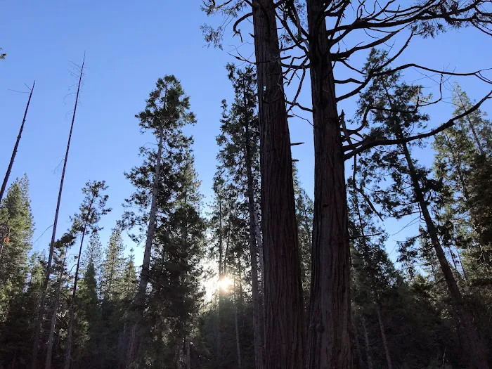 Landslide Campground Picture 7