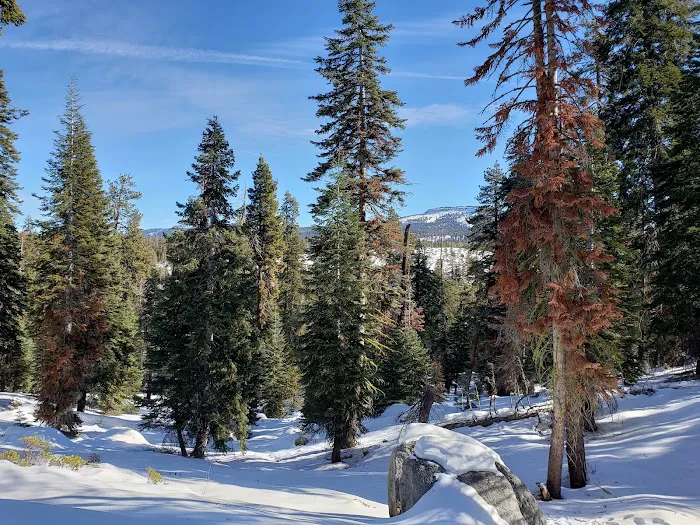 Big Meadow Winter Trailhead Picture 1