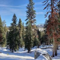 Big Meadow Winter Trailhead ico