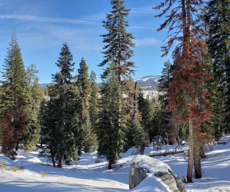Big Meadow Winter Trailhead