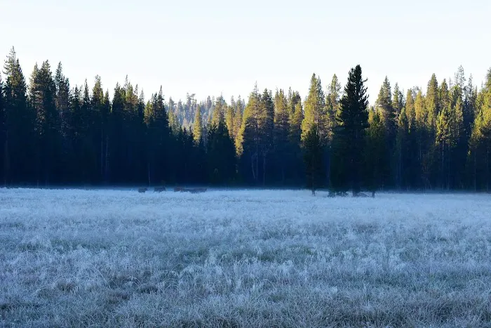 Big Meadow Winter Trailhead Picture 6