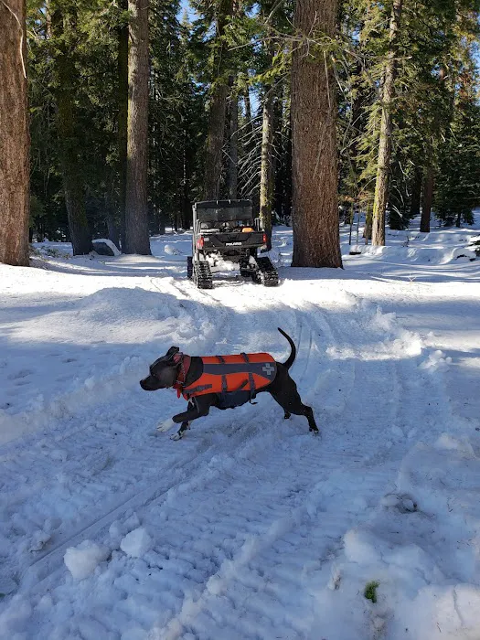 Big Meadow Winter Trailhead Picture 9