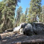 Cove Group Campground
