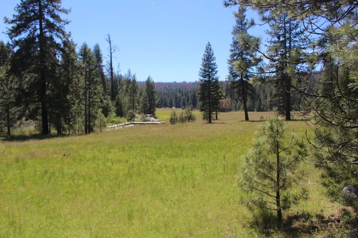 Cove Group Campground Picture 4
