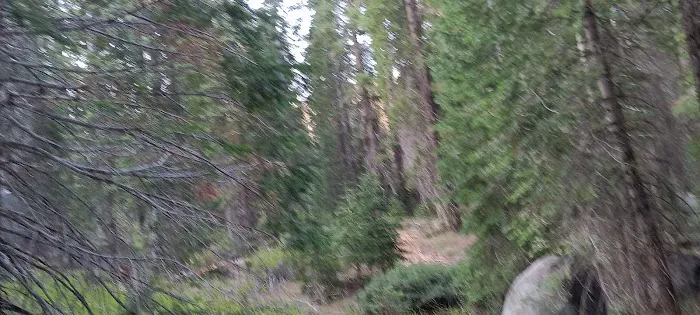Cove Group Campground Picture 9