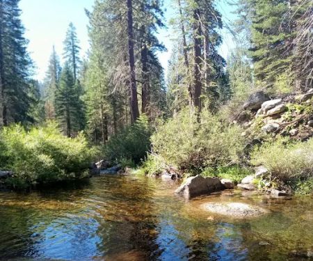 Stony Creek Campground