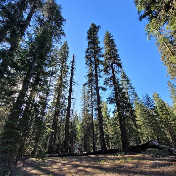 Stony Creek Campground Picture 2