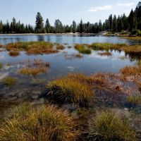 Camp Sixty One Campground ico