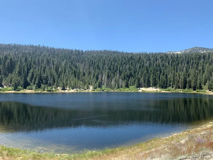 Portal Forebay Campground Picture 1