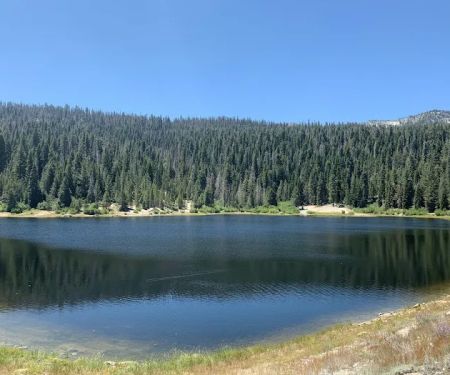 Portal Forebay Campground