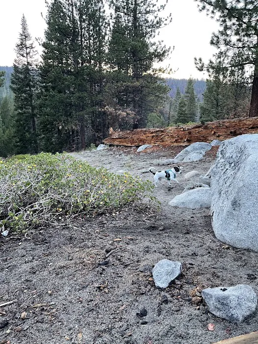 Portal Forebay Campground Picture 7