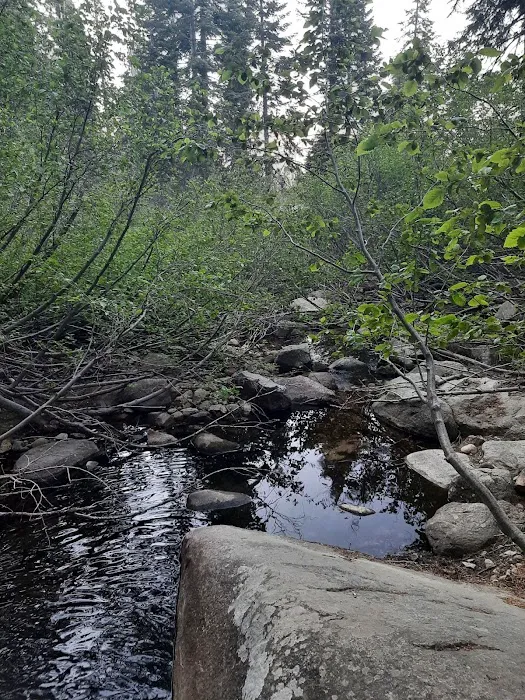 Portal Forebay Campground Picture 9
