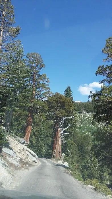 Bolsillo Campground Picture 4