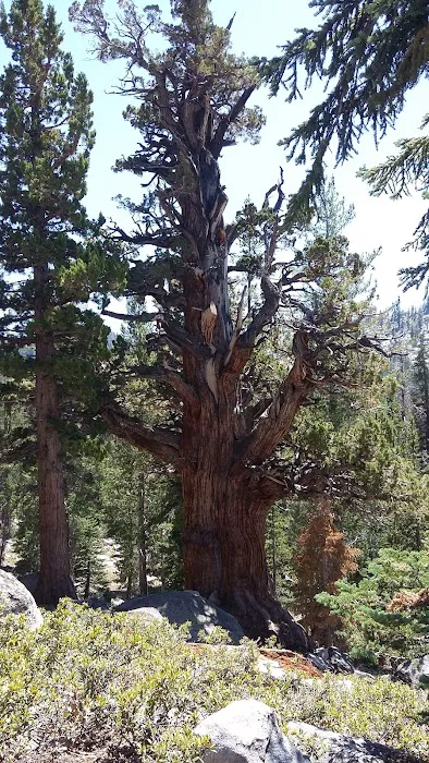 Bolsillo Campground Picture 9