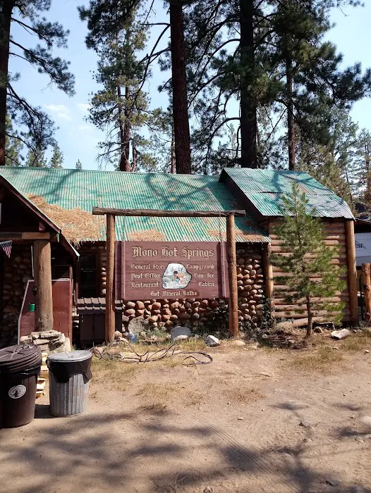 Mono Hot Springs Campground Picture 8