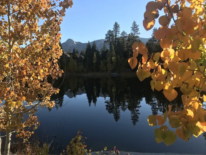 Ward Lake Campground Picture 7