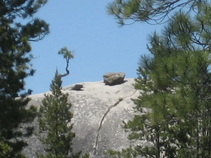 Ward Lake Campground Picture 8
