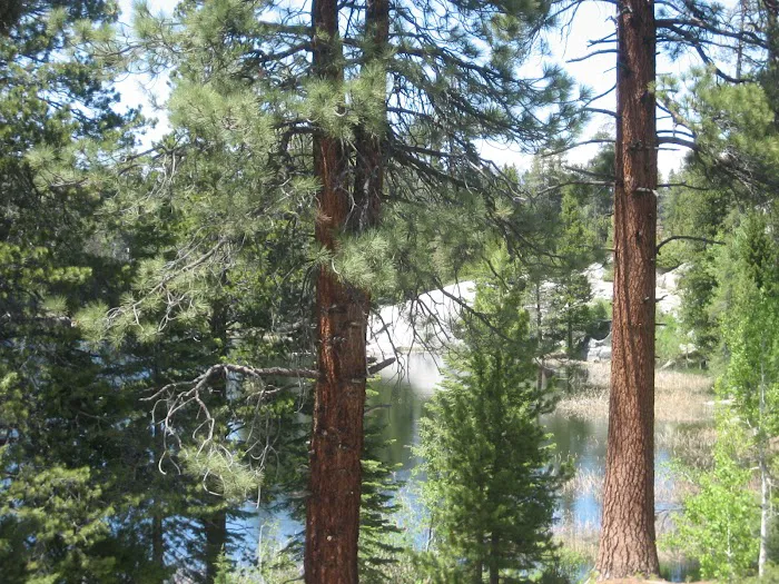 Ward Lake Campground Picture 10