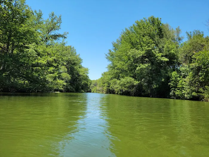 Guadalupe River Rentals RV Campground Picture 5