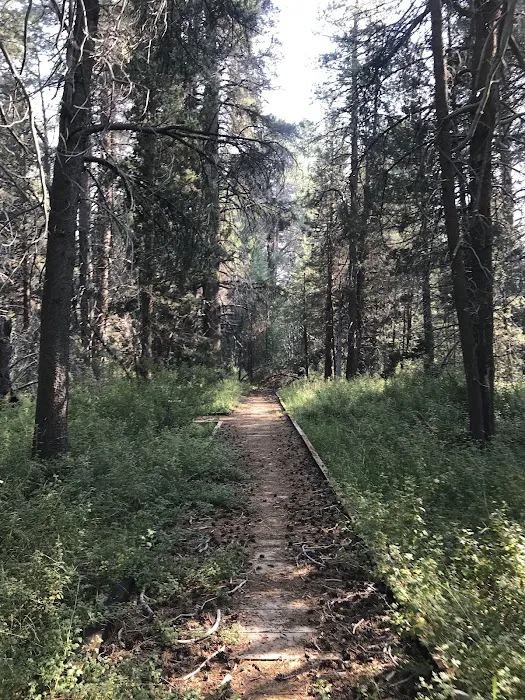 JACKASS MEADOW (recgovnpsdata) Picture 3