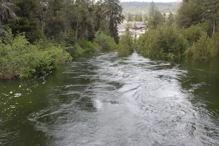 JACKASS MEADOW (recgovnpsdata) Picture 6
