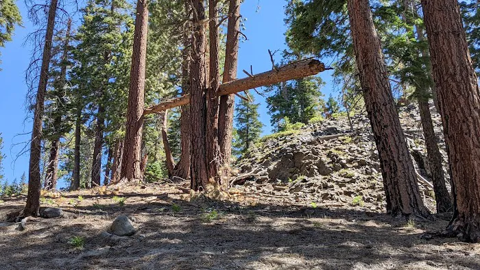 Reds Meadow Campground Picture 5