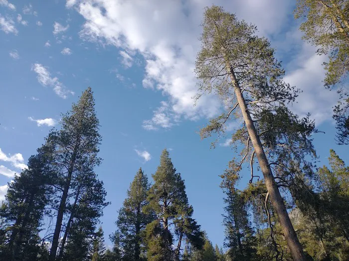 Reds Meadow Campground Picture 8