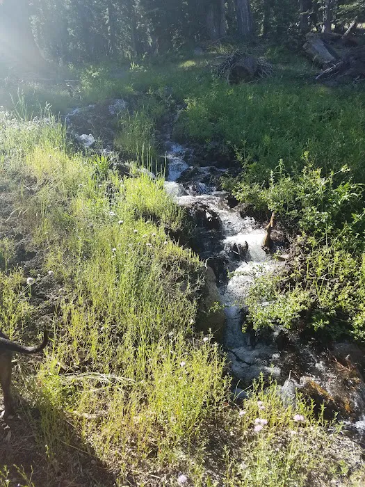 Reds Meadow Campground Picture 10