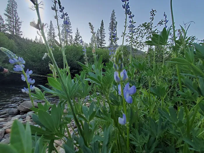 Minaret Falls Campground Picture 4