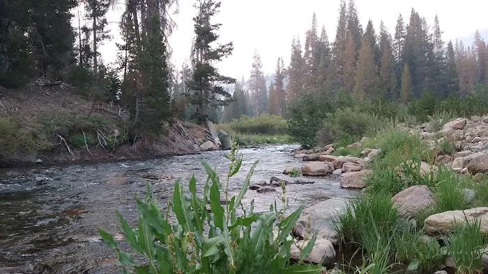 Pumice Flat Campground Picture 3