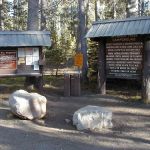 Bridalveil Creek Campground