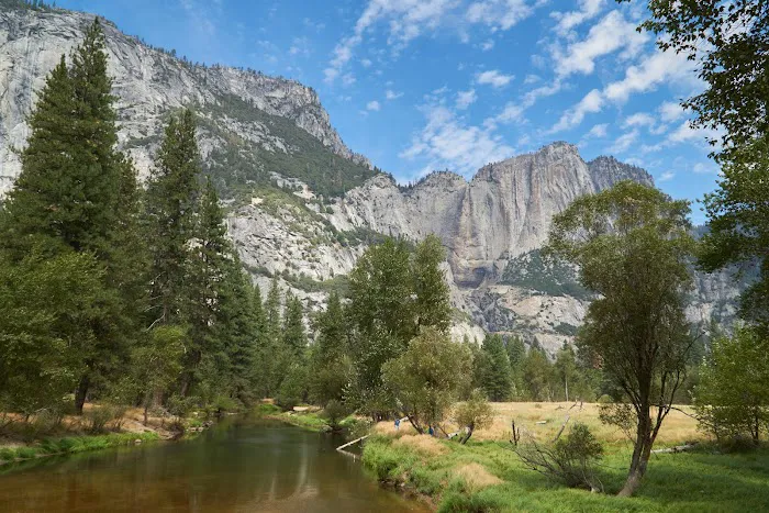 Bridalveil Creek Campground Picture 7