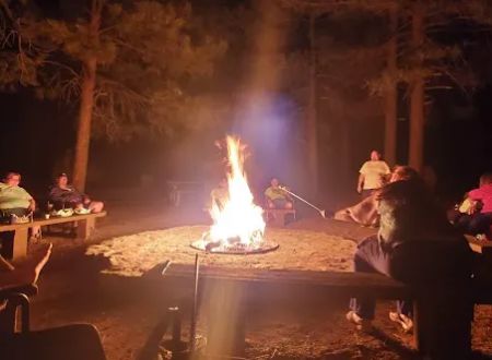 Wooded Hill Group Campground