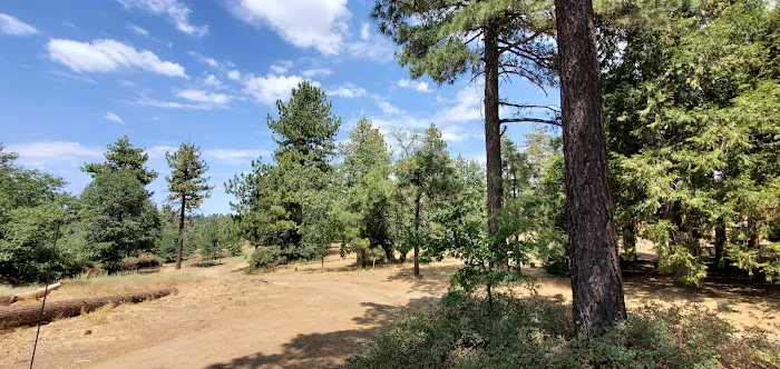 Wooded Hill Group Campground Picture 5