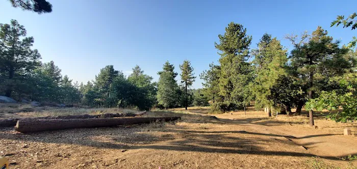 Wooded Hill Group Campground Picture 8