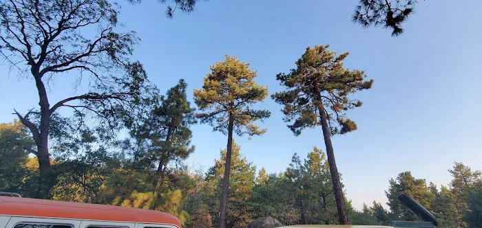 Wooded Hill Group Campground Picture 10