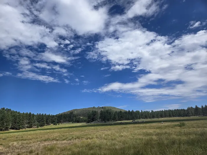 Horse Heaven Group Campground Picture 1