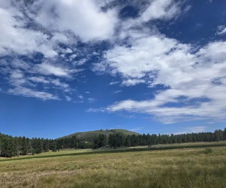 Horse Heaven Group Campground
