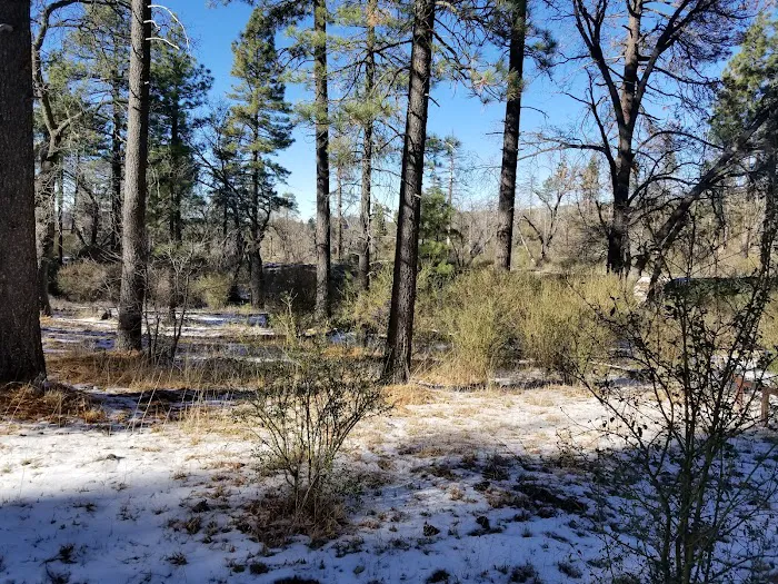Horse Heaven Group Campground Picture 4