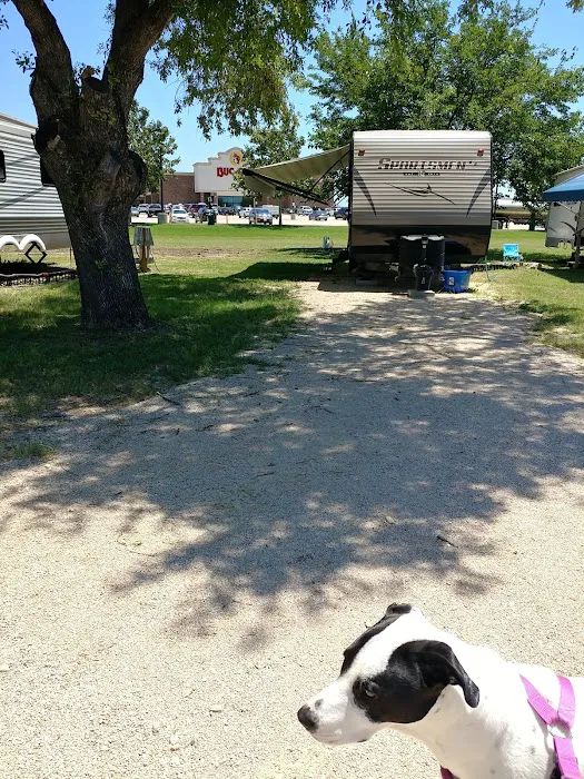 New Braunfels RV Park Picture 10